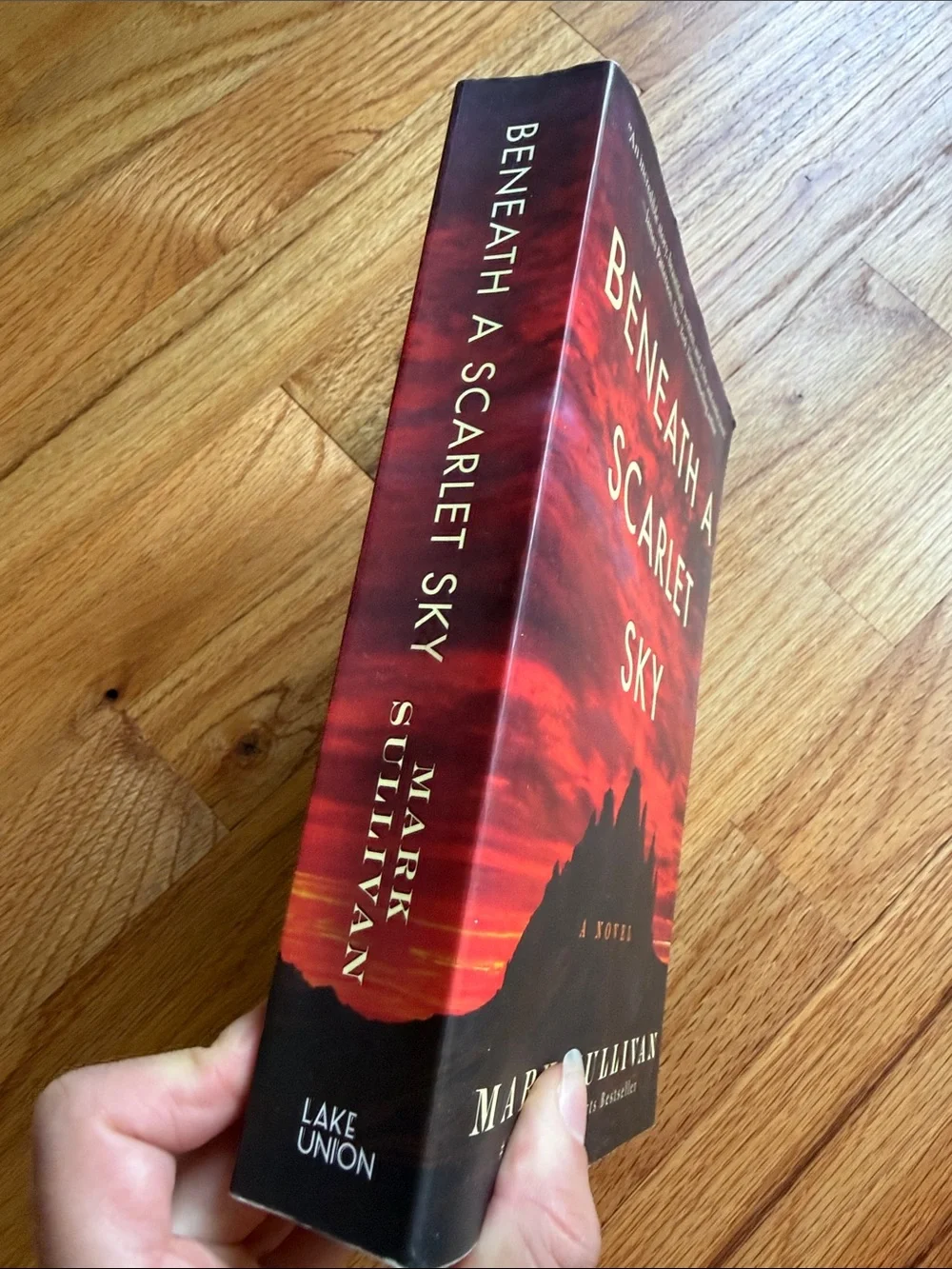 Historical fiction book bundle